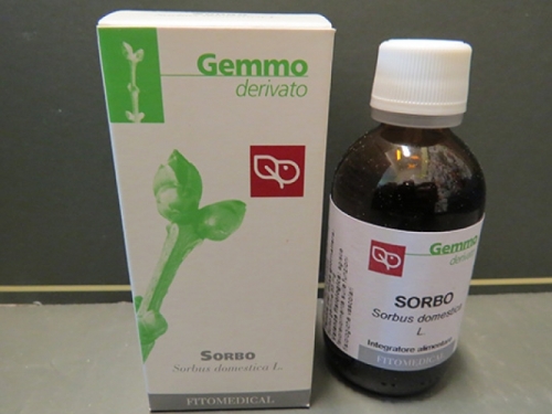 sorbo gemmoderivato fitomadical