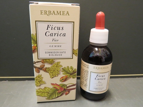ficus carica gemmoderivato erbamea