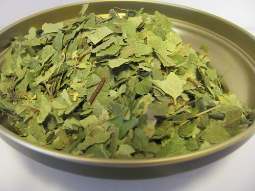 Betulla