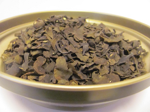 Fucus tallo