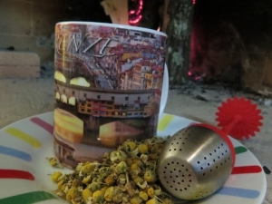 Tisana per la cistite