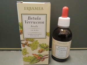 estratto idroalcolico betulla (tintura madre)