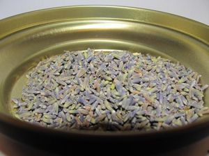 Lavanda