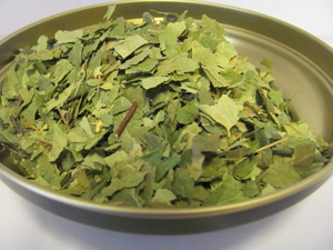 Betulla